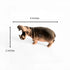 Animal Drawer Knobs
